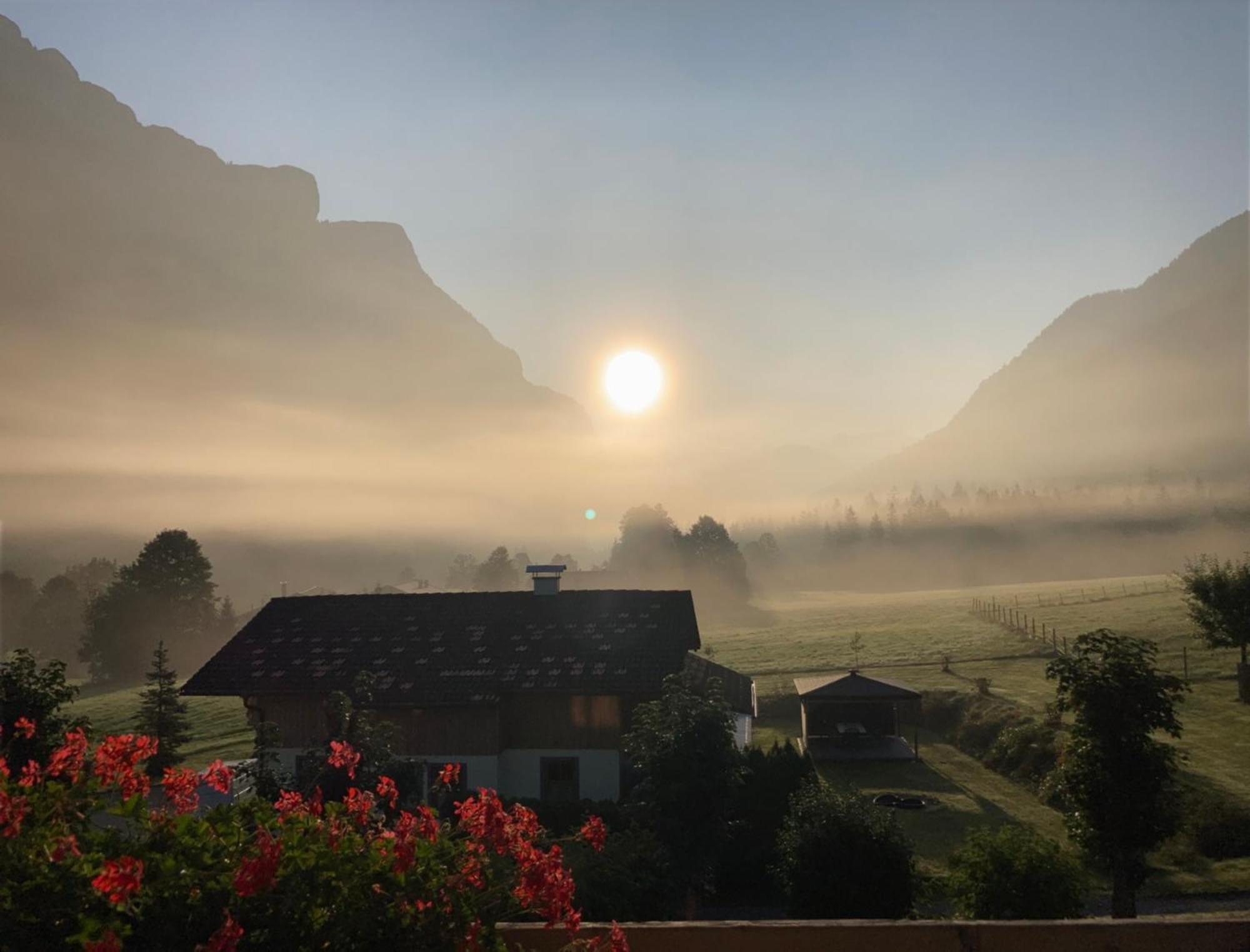 Brandtnerhof Betriebe Aparthotel ไวดริง ภายนอก รูปภาพ